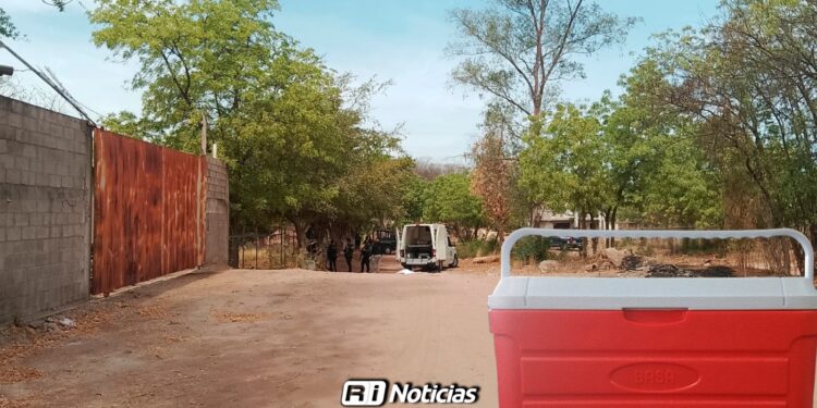 Localizan cuerpo en hielera en la colonia Santa Fe en Culiacán; correspondería a joven desaparecido