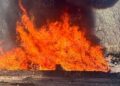FGR incinera más de nueve toneladas de narcóticos en Sinaloa