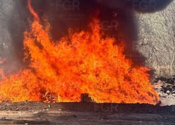 FGR incinera más de nueve toneladas de narcóticos en Sinaloa