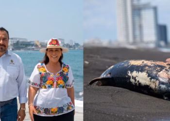 Rocío Nahle y Pemex supervisan playas del Golfo de México para fin de semana vacacional: “Están limpias”, aseguran