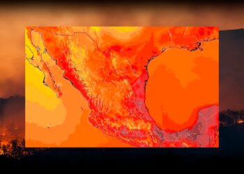 Estudio advierte que el cambio climático podría aumentar hasta 15% las muertes en México