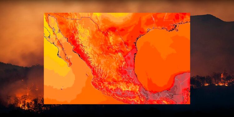 Estudio advierte que el cambio climático podría aumentar hasta 15% las muertes en México
