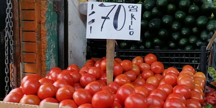 Consumidores pagan hasta tres veces más por kilo de jitomate de lo que recibe el agricultor