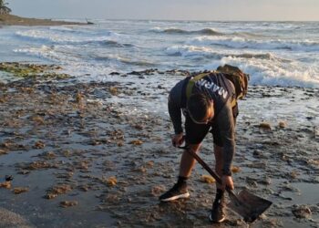 Sheinbaum anuncia creación de Observatorio del Golfo tras derrame de hidrocarburo