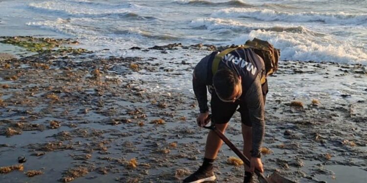 Sheinbaum anuncia creación de Observatorio del Golfo tras derrame de hidrocarburo