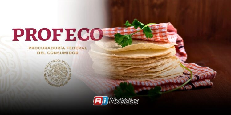 Profeco descarta aumento fuerte en la tortilla; precio se mantiene estable pese a presiones