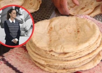 ¿El kilo de tortilla subirá entre 2 y 4 pesos en abril? Esto responde Claudia Sheinbaum ante el presunto aumento
