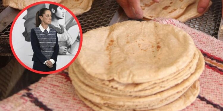 ¿El kilo de tortilla subirá entre 2 y 4 pesos en abril? Esto responde Claudia Sheinbaum ante el presunto aumento