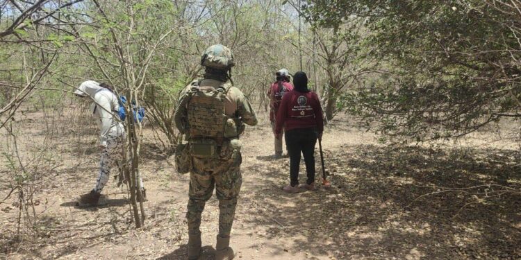 Localizan restos óseos de dos mujeres en pozo de agua al sur de Mazatlán durante jornada de búsqueda