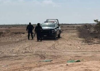 Encuentran restos en fosa clandestina en Concordia durante jornada de búsqueda