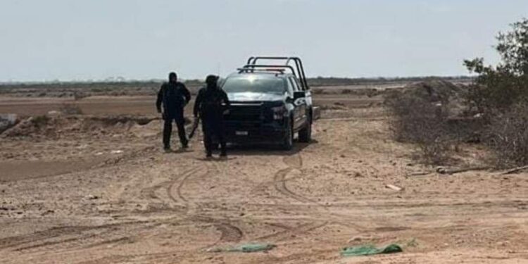 Encuentran restos en fosa clandestina en Concordia durante jornada de búsqueda