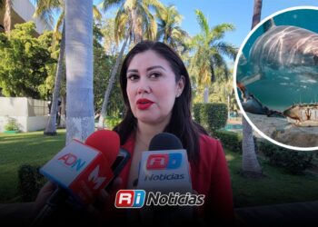 Hoy inicia veda de jaiba y tiburón en Sinaloa