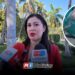 Hoy inicia veda de jaiba y tiburón en Sinaloa