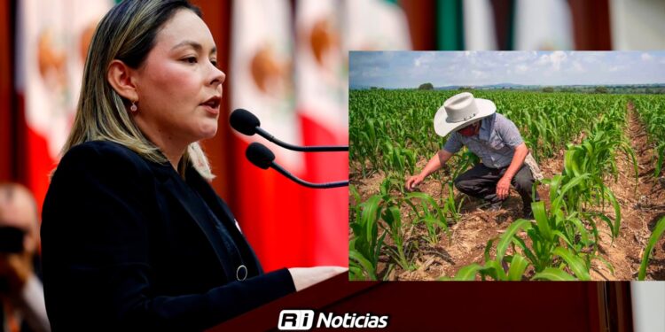 “Los vamos a seguir apoyando”, Gobernadora, ante incertidumbre de productores