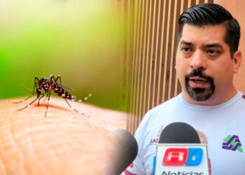 Sinaloa suma 379 casos de dengue; ocupa cuarto lugar nacional