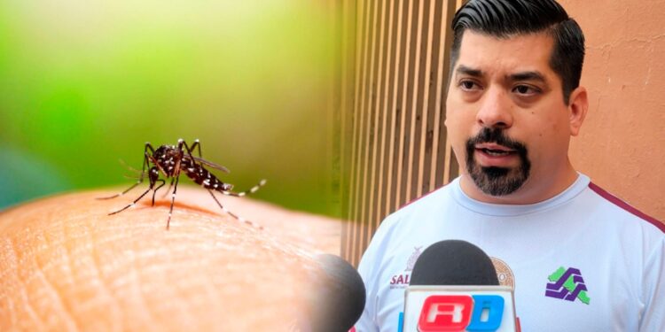 Sinaloa suma 379 casos de dengue; ocupa cuarto lugar nacional