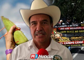 Productores de maíz en Sinaloa exigen pagos y amenazan con protestas durante el Mundial