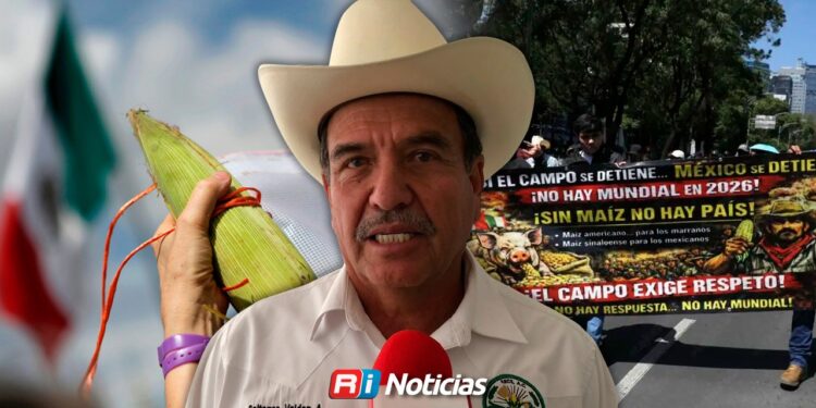 Productores de maíz en Sinaloa exigen pagos y amenazan con protestas durante el Mundial