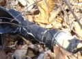 Ejército localiza cuatro artefactos explosivos, objetos ilícitos y presunta mariguana en Concordia