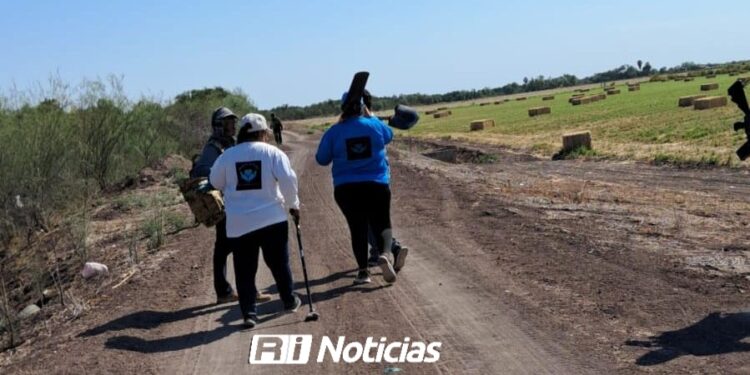 Hallan restos humanos en sembradíos cercanos a sindicatura de La Palma