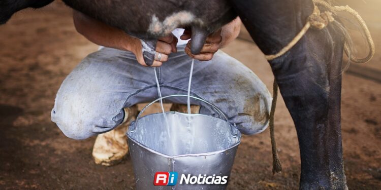 Avanza entrega de maquinaria para producción de leche en Mazatlán