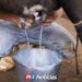 Avanza entrega de maquinaria para producción de leche en Mazatlán