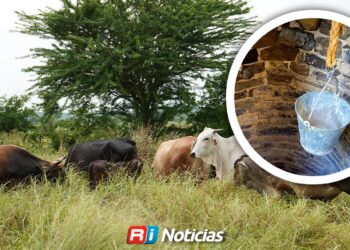 Ganaderos enfrentan pozos secos y escasez de agua en el sur de Mazatlán