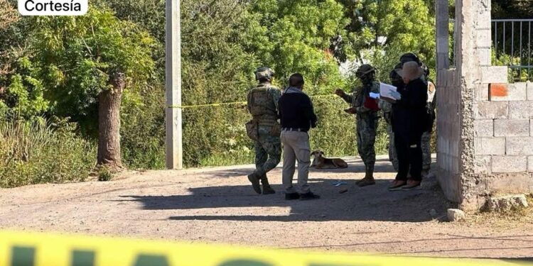 Con torniquete en el cuello, localizan a hombre asesinado en Palmito Viejo, en Culiacán