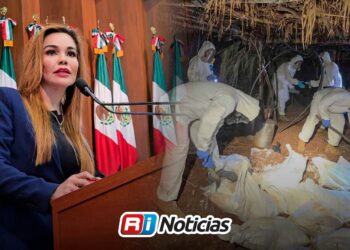 Inaceptable presumir reducción de delitos mientras sigan las desapariciones: Paola Gárate