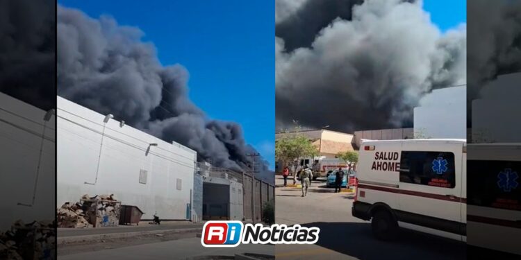 Reportan incendio en plaza fiesta las palmas; se presume que hay personas al interior