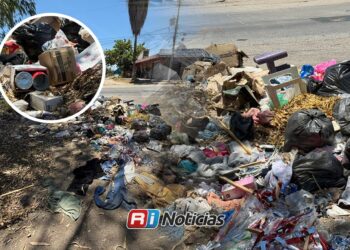 Denuncia ciudadana: Foco de infección por acumulación de basura en la colonia 12 de Mayo