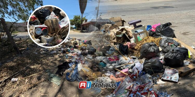 Denuncia ciudadana: Foco de infección por acumulación de basura en la colonia 12 de Mayo