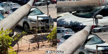 Palmera cae sobre camioneta estacionada afuera de la Unidad Administrativa en Mazatlán
