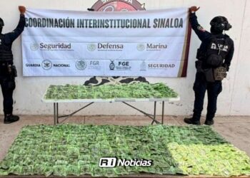 Aseguran más de 800 dosis de presunta mariguana en El Chilillo, Mazatlán
