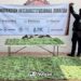Aseguran más de 800 dosis de presunta mariguana en El Chilillo, Mazatlán