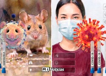 Hantavirus: Síntomas, Formas de Contagio y Diferencias con COVID-19; México sin casos activos en 2026