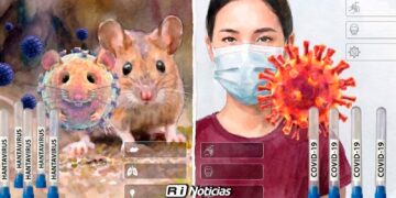 Hantavirus: Síntomas, Formas de Contagio y Diferencias con COVID-19; México sin casos activos en 2026