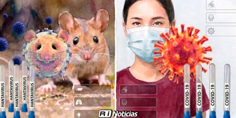 Hantavirus: Síntomas, Formas de Contagio y Diferencias con COVID-19; México sin casos activos en 2026