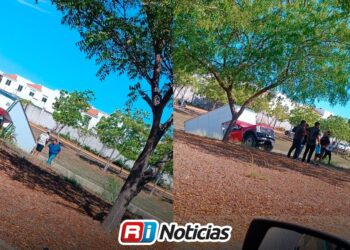 Camioneta cae a canal sobre la avenida Atlántico