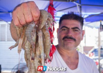 Piden retrasar inicio de temporada de pesca para obtener camarón de mejor talla