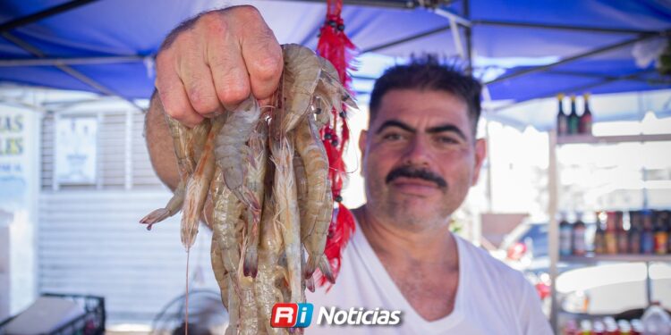 Piden retrasar inicio de temporada de pesca para obtener camarón de mejor talla