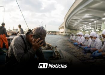 Crisis en pesca de camarón alcanza a familias y plantas procesadoras