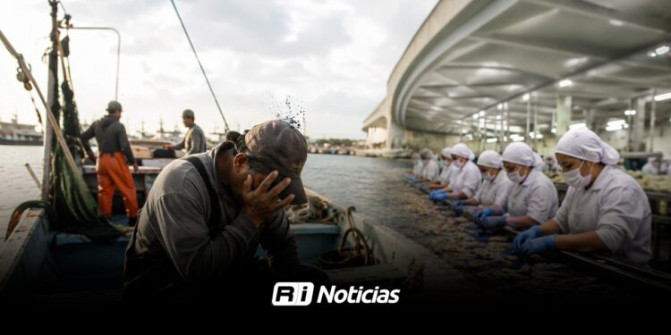 Crisis en pesca de camarón alcanza a familias y plantas procesadoras