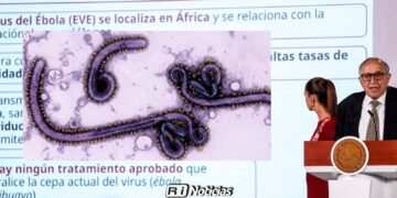 México activa alerta por Ébola: Síntomas, Cómo se contagia y Qué dijo Salud
