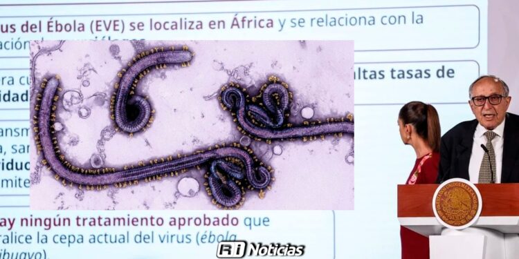 México activa alerta por Ébola: Síntomas, Cómo se contagia y Qué dijo Salud