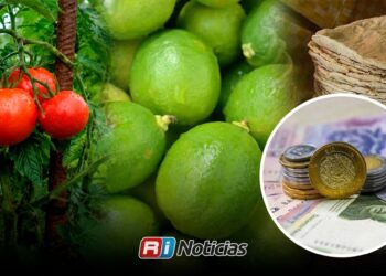 Tomate, limón y tortilla disparan precios en Sinaloa durante mayo