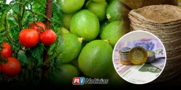 Tomate, limón y tortilla disparan precios en Sinaloa durante mayo