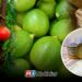 Tomate, limón y tortilla disparan precios en Sinaloa durante mayo
