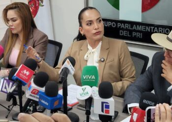 Jucopo no ha firmado apoyo a Rocha Moya, asegura diputada Irma Moreno