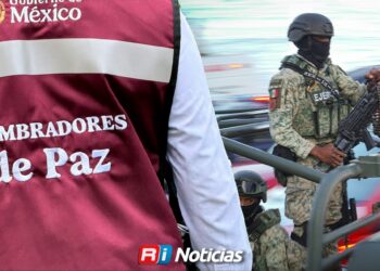 “La paz no se logra con fuerza” se debe atender el origen de la violencia: Guadalupe Lachino
